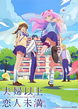 夫妇以上，恋人未满