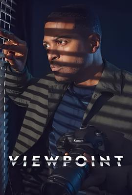 视点