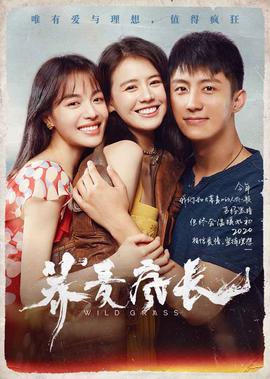 和荞麦一起疯长的日子下集