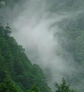 日本印象派水光和鸣