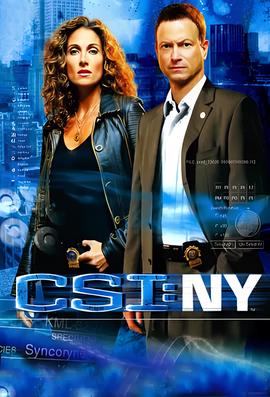 犯罪现场调查：纽约 第四季