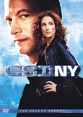 犯罪现场调查：纽约 第二季