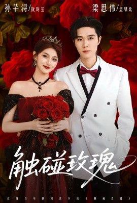 触碰玫瑰（凌晨四点半，玫瑰花未眠）